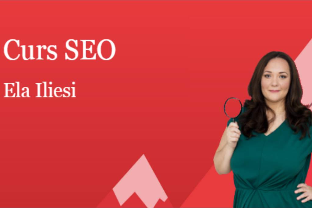 Cursuri SEO practice 